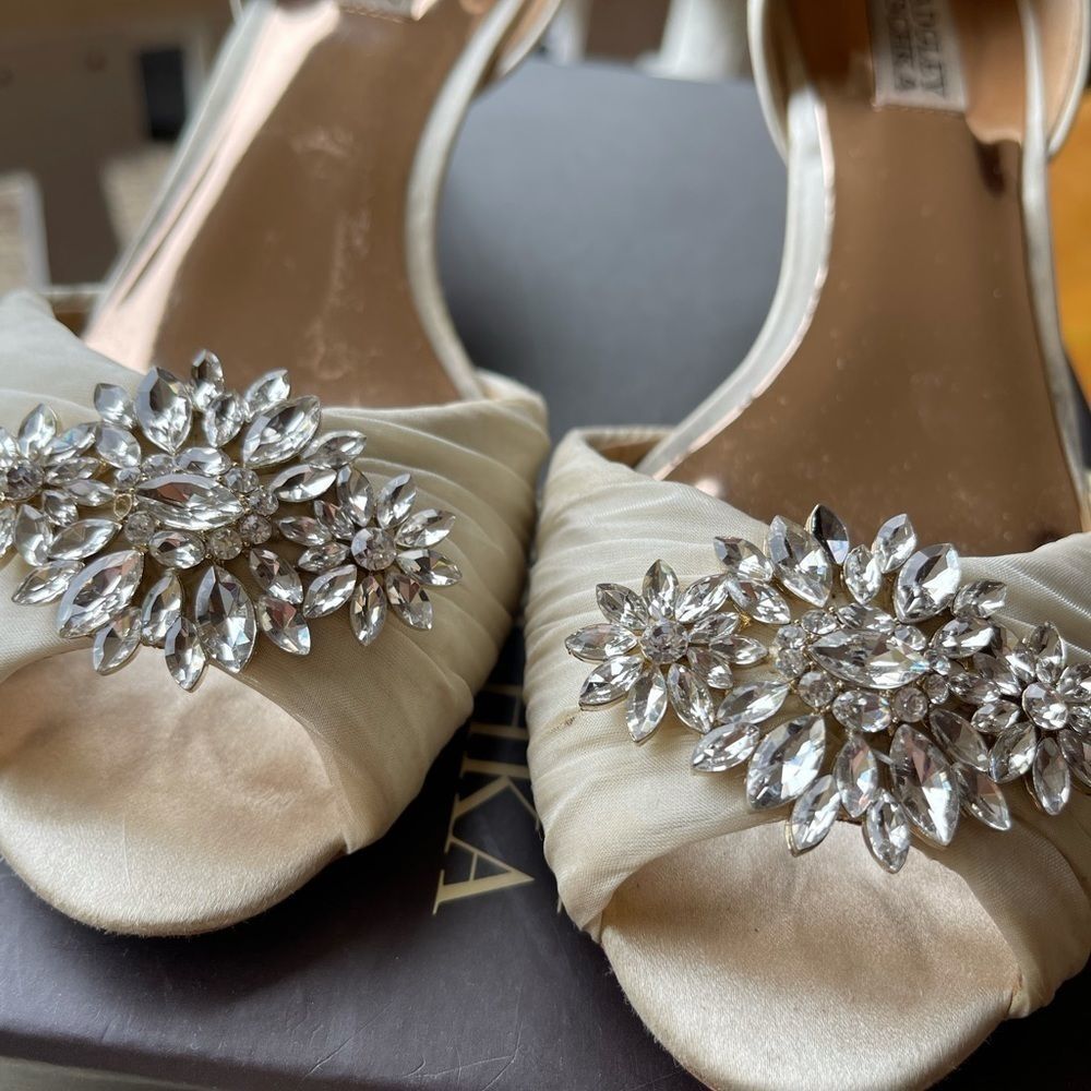 Badgley Mischka Caitlin Crystal Embellished d'Orsay Pumps size 8.5